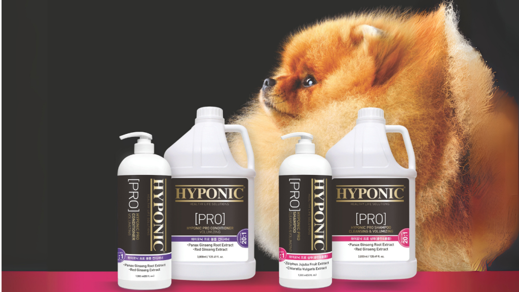 pomeranian dog, gallons of Hyponic shampoos on the black background